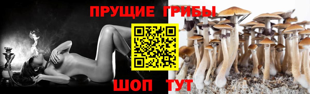 Псилоцибиновые грибы ЛСД Шелехов